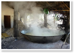 jaggery making